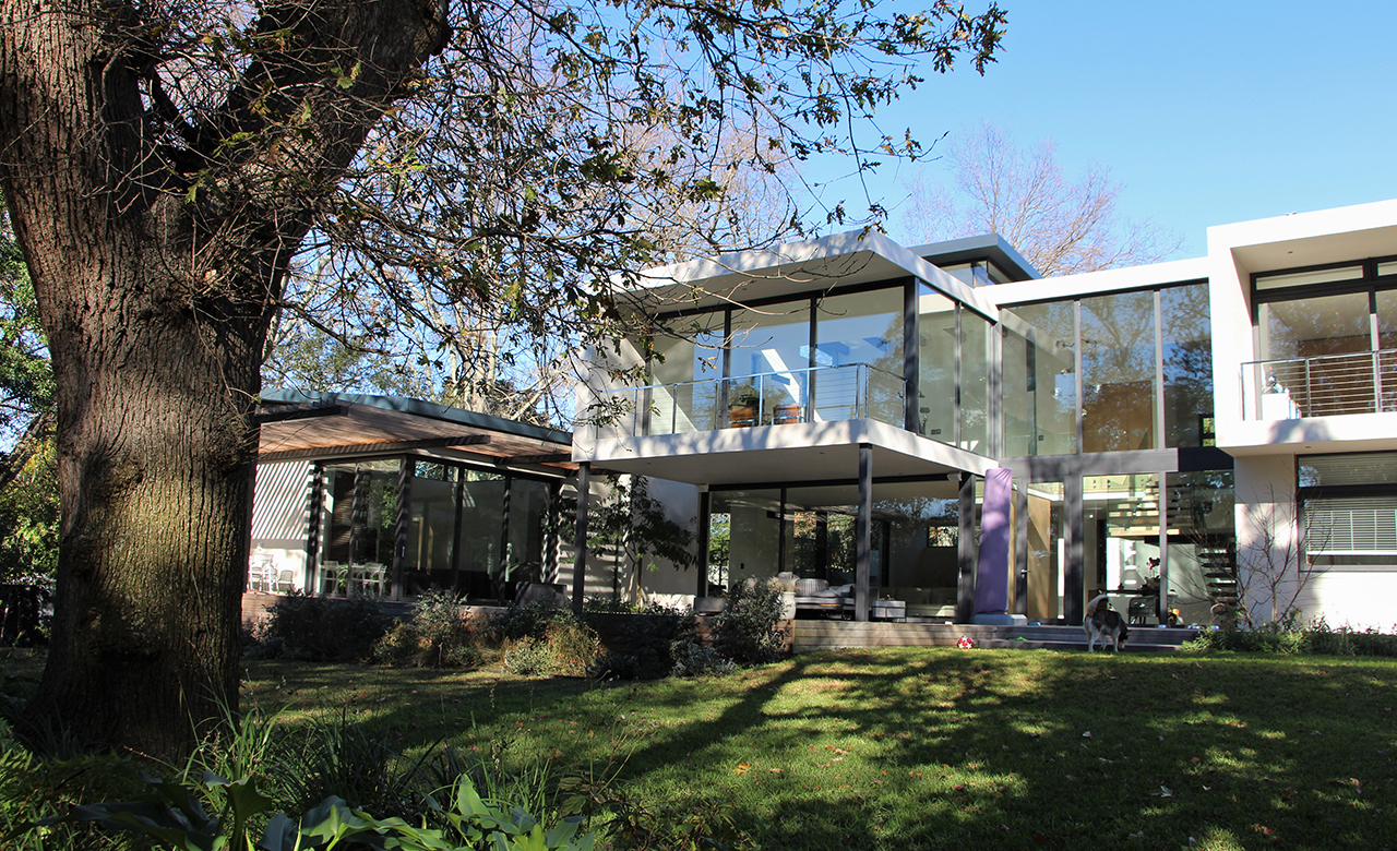 house martin_0000_2A