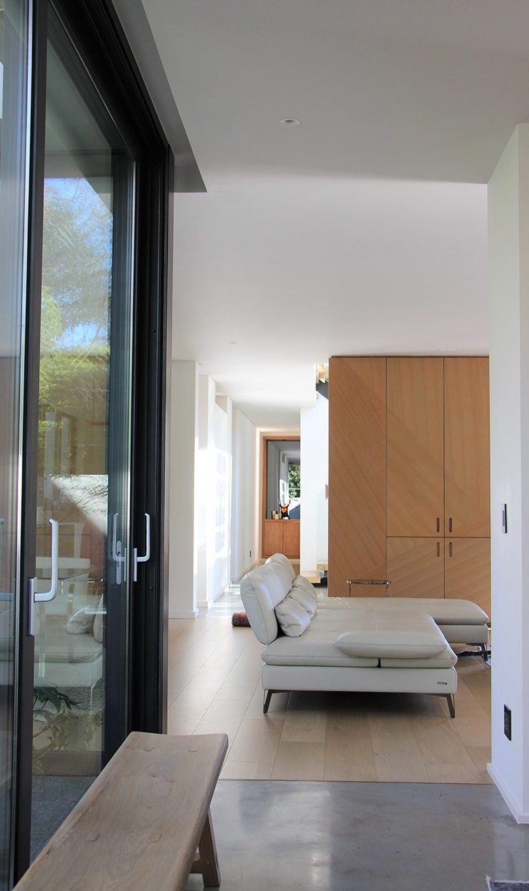 house martin_0001_2G