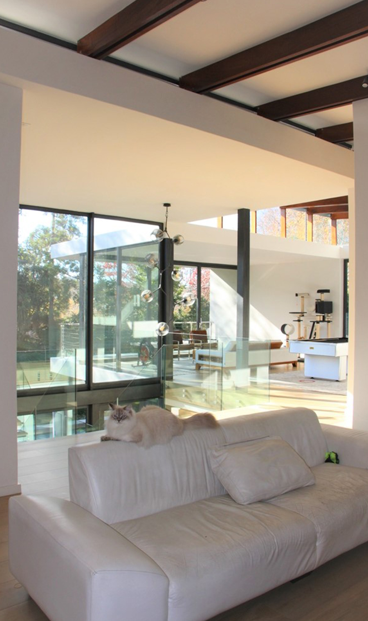 house martin_0002_2E