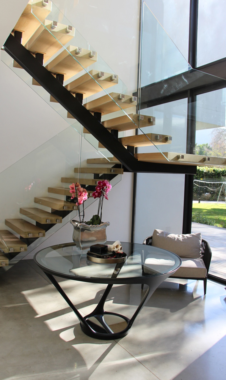 house martin_0003_2D